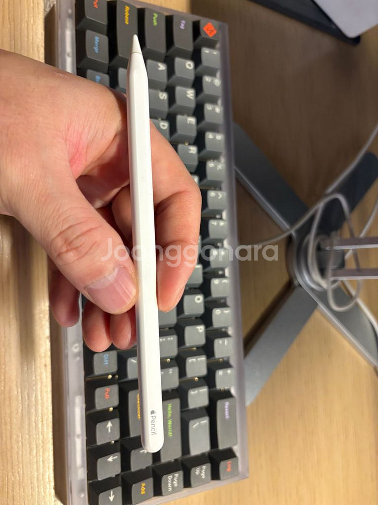 애플펜슬 팬슬 pencil 2--1