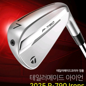 2025년 국내정품(새제품)테일러메이드 P790 아이언