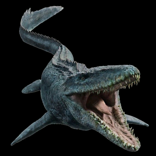 삼엽충 모사사우루스 바다전갈 화석 판매합니다.--6