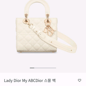 디올 레이디 스몰