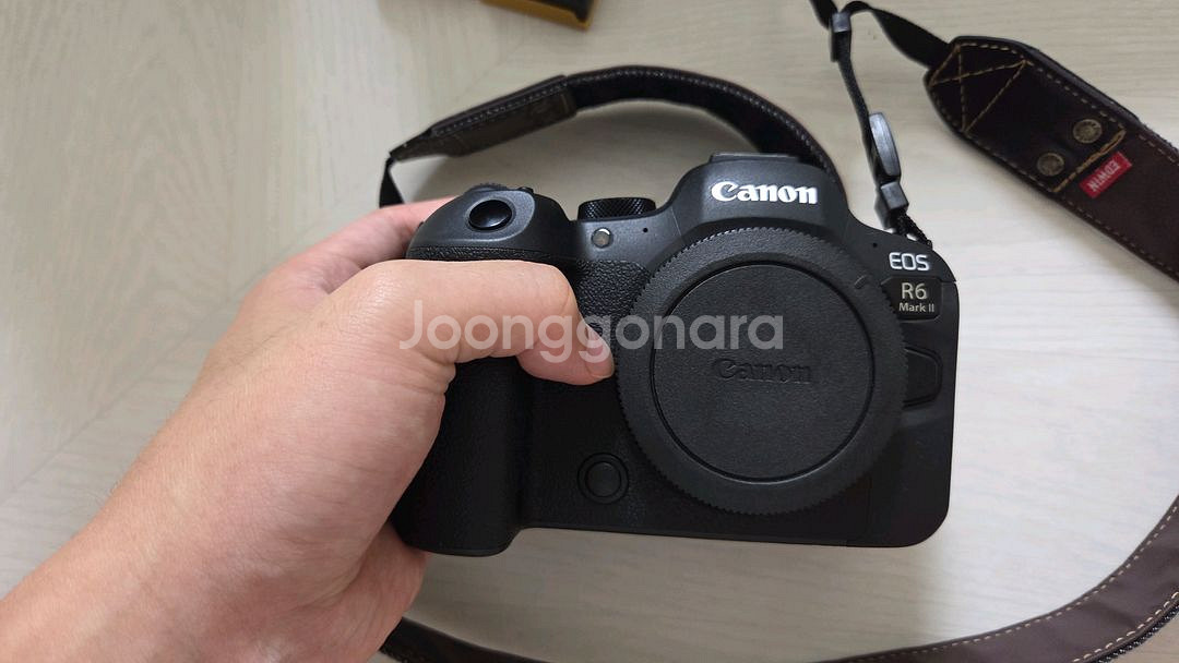 R6M2, RF 24-105 F4 L렌즈--1