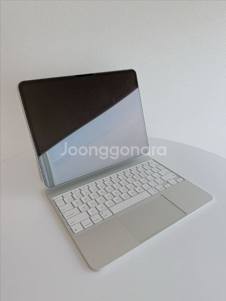아이패드 프로 13 M4 256GB 셀룰러 + 애플케어--0