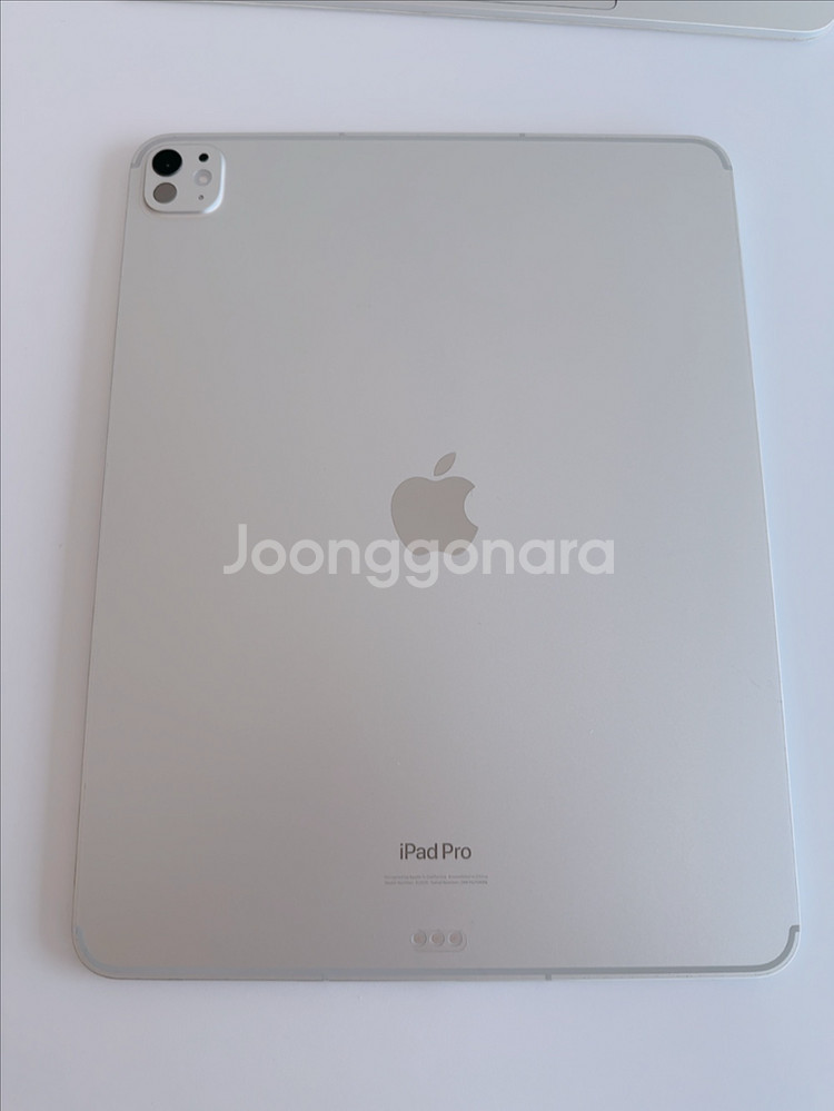 아이패드 프로 13 M4 256GB 셀룰러 + 애플케어--2
