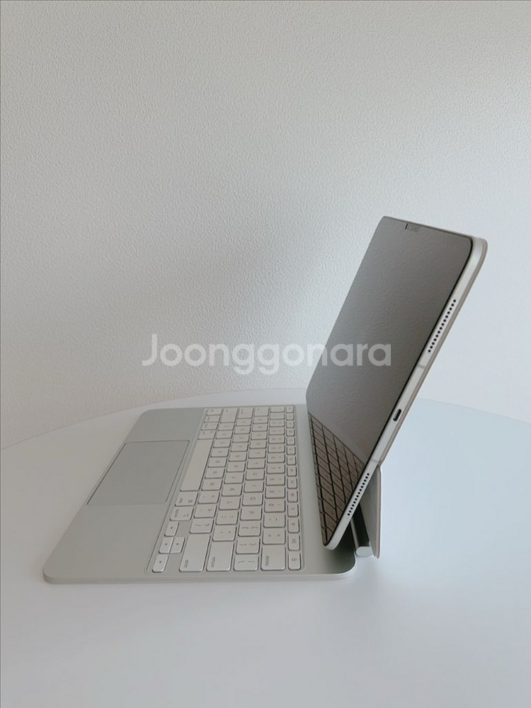 아이패드 프로 13 M4 256GB 셀룰러 + 애플케어--5