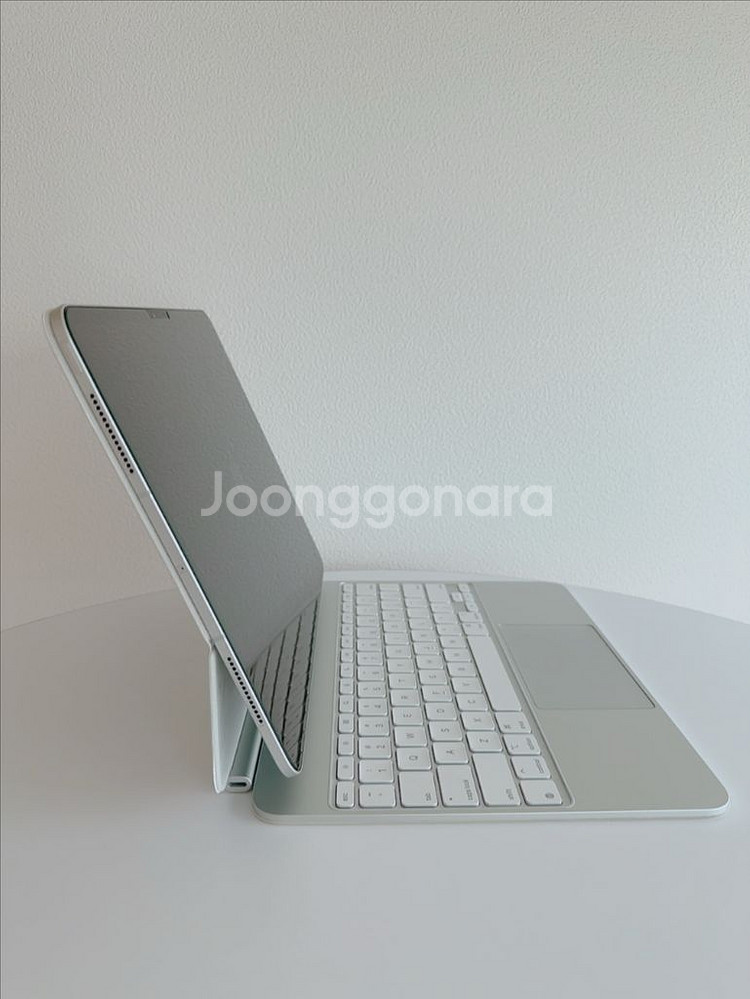아이패드 프로 13 M4 256GB 셀룰러 + 애플케어--4
