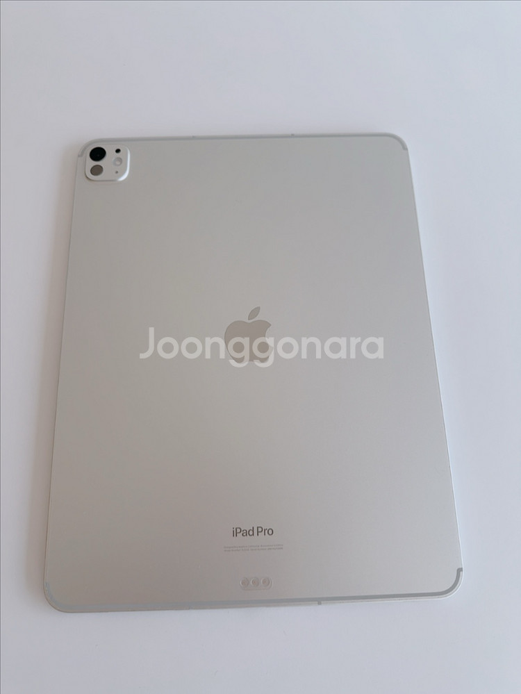 아이패드 프로 13 M4 256GB 셀룰러 + 애플케어--16