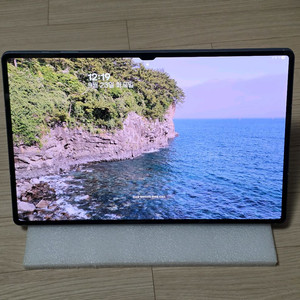삼성 갤럭시탭 S10 울트라 512gb 와이파이