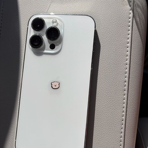 아이폰14프로맥스 실버 256GB