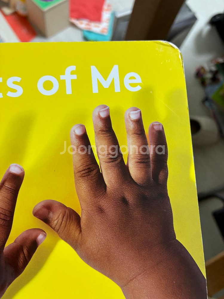 러브에브리 5-6개월 키트--2