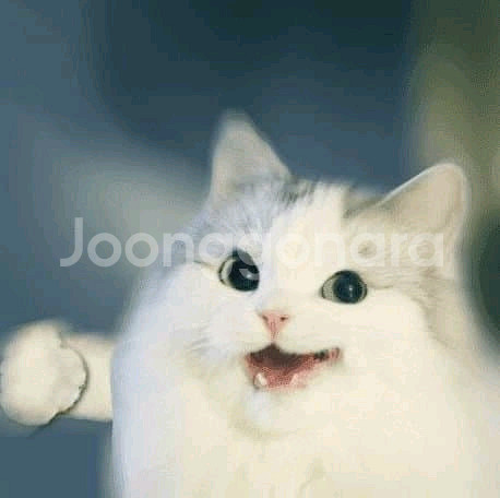 에펨 14000포 팝니다--0