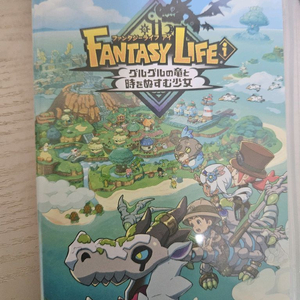 판타지 라이프 닌텐도스위치 칩