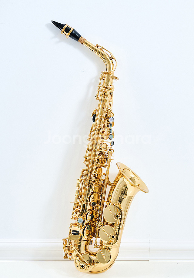 알토 색소폰 미개봉 반값처분--2