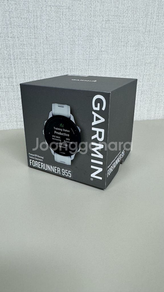 가민 포러너 955--0