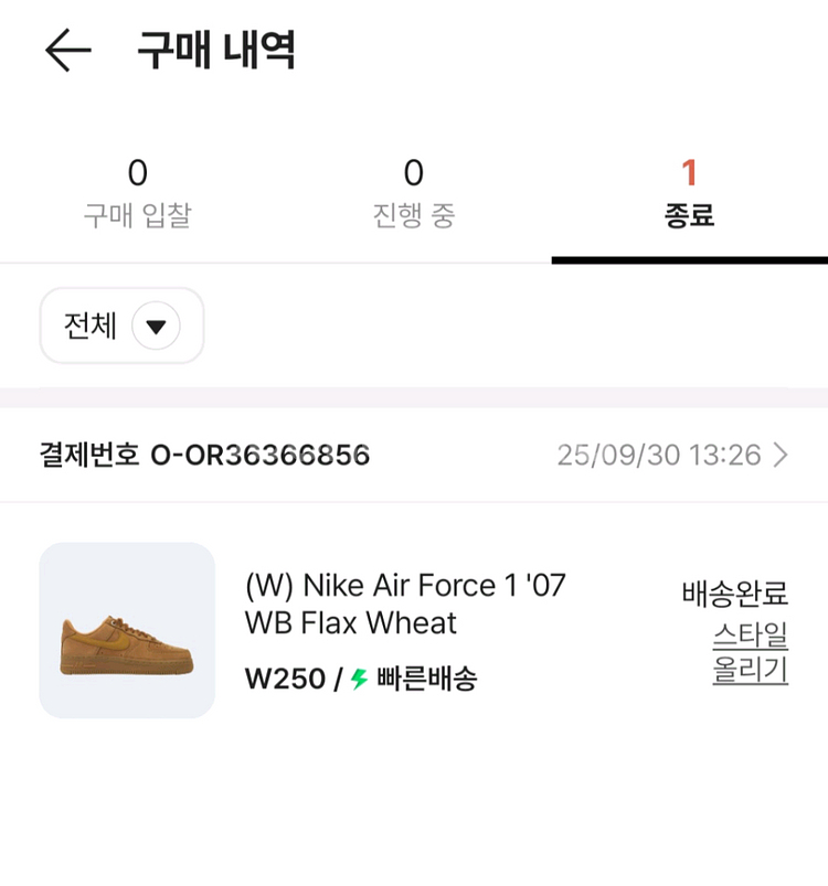 나이키 된장포스 250 새상품--3