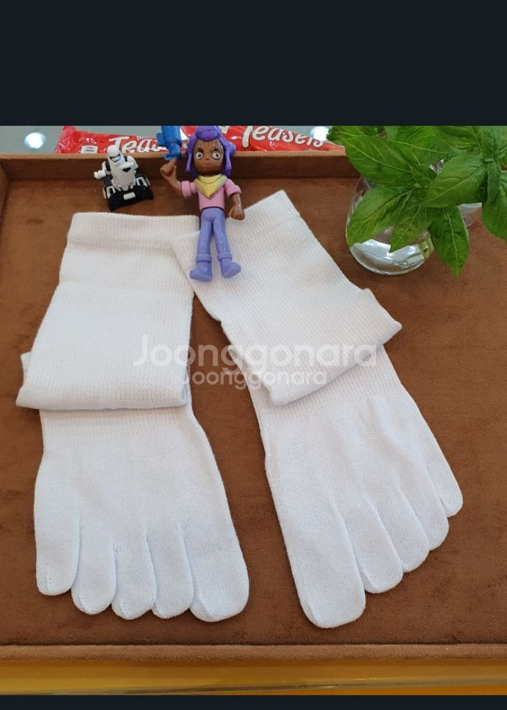 국산 중목 발가락양말 10묶음--0