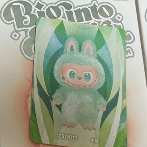 팝마트 라부부 하이라이트-평온