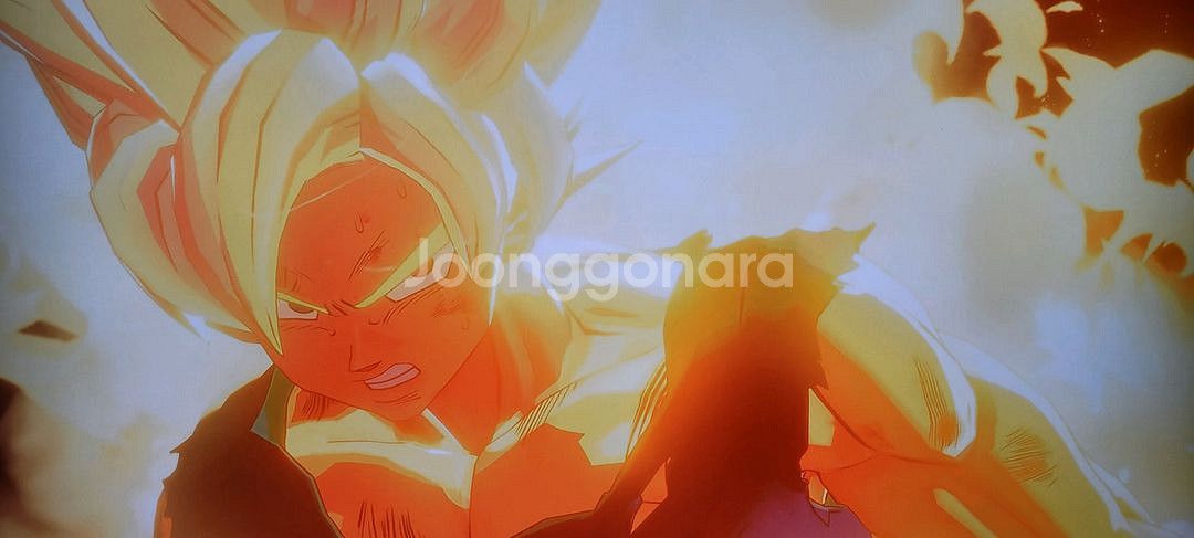 PS4 드래곤벌Z 카카로트--4