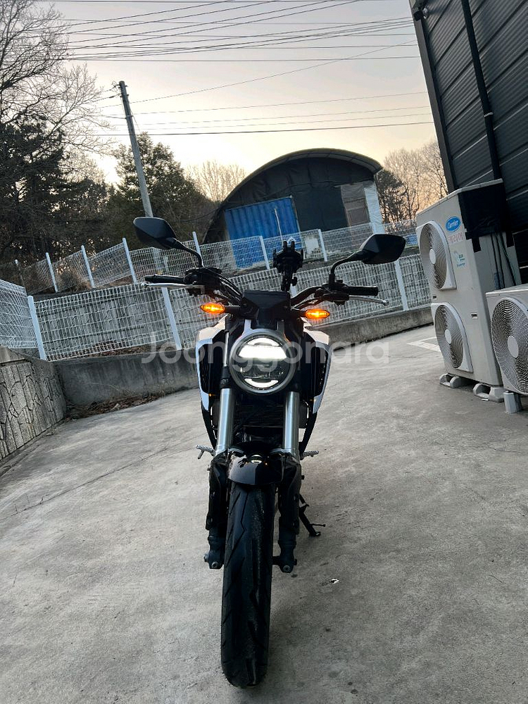 19년식 혼다 CB125R 블랙 판매--2