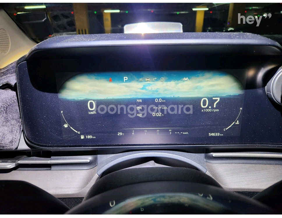 카니발 4세대 21년 1월식--5