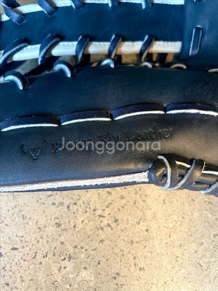 미즈노 프로 이치로 프렉시킵 하가제팬 외야--8