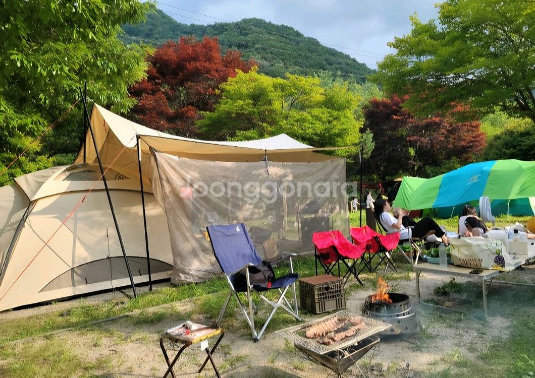 이도공감 헤마타프 ML,X폴대 포함--0