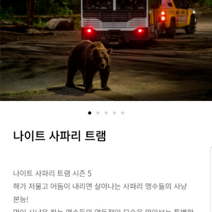 에버랜드 나이트사파리, 플랜잇 팝니다