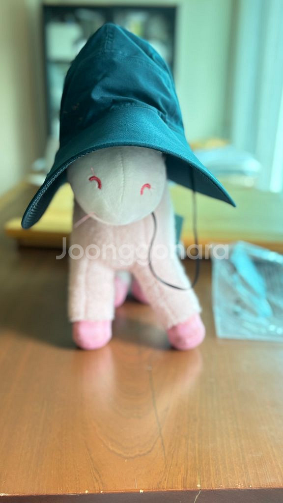 아크테릭스 신솔라 햇--4