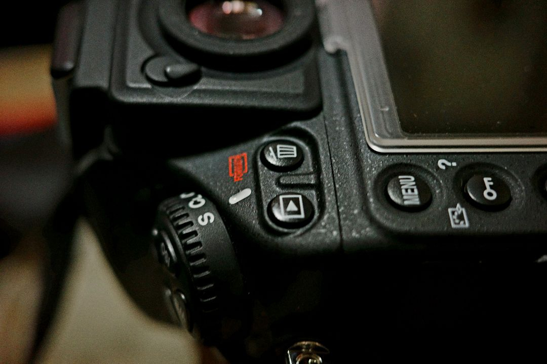 D800, 니콘 24-70MM 2.8G. 니콘 105M 이미지