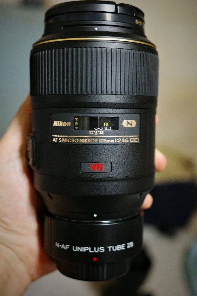 D800, 니콘 24-70MM 2.8G. 니콘 105M 이미지