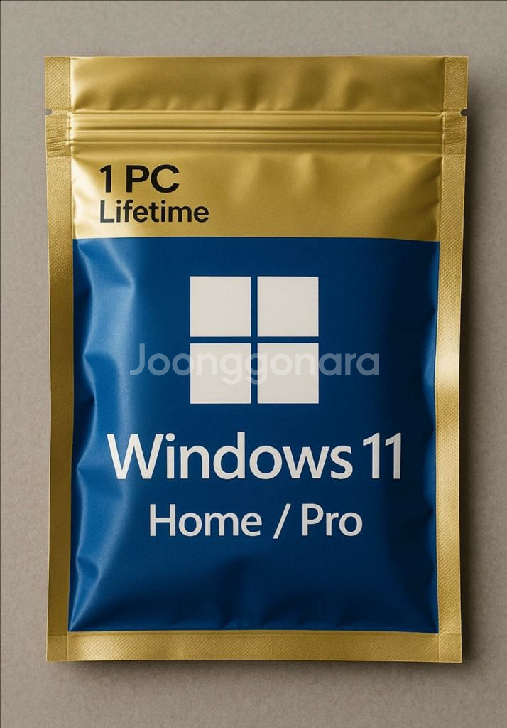 Windows 11 Home/Pro 평생 라이선스--0