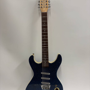 댄일렉트로 호다드 12현 일렉기타