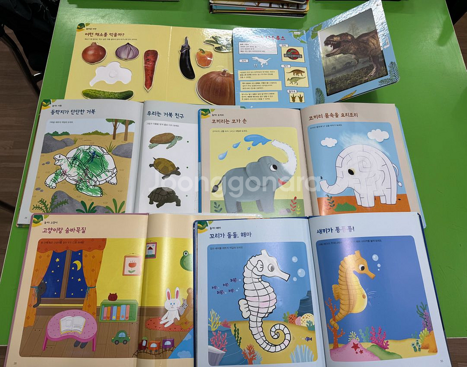 놀라운자연--3