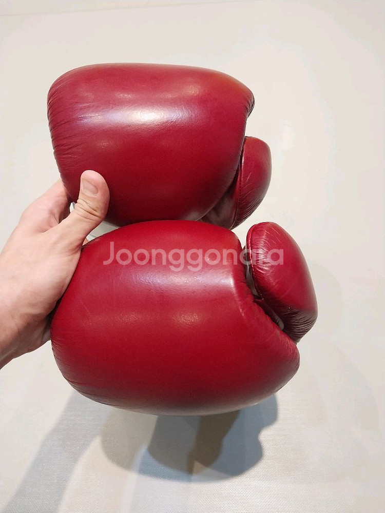 트윈스 16온즈 글러브--6