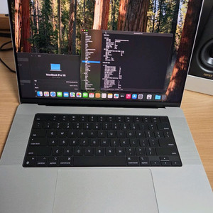 m4 pro 맥북프로 16인치 판매