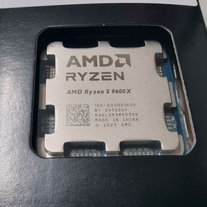 amd ryzen 9600x
