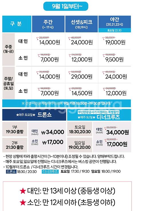 해운대 리버크루즈 퍼블릭투어 모바일 티켓 팝니다, 드론--2