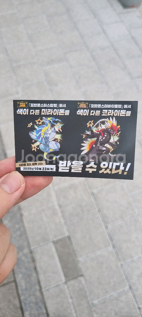 포켓몬 스칼렛 바이올렛 이로치 코라이돈/미라이돈 코드--0