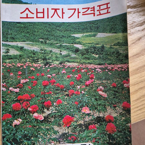 레트로책