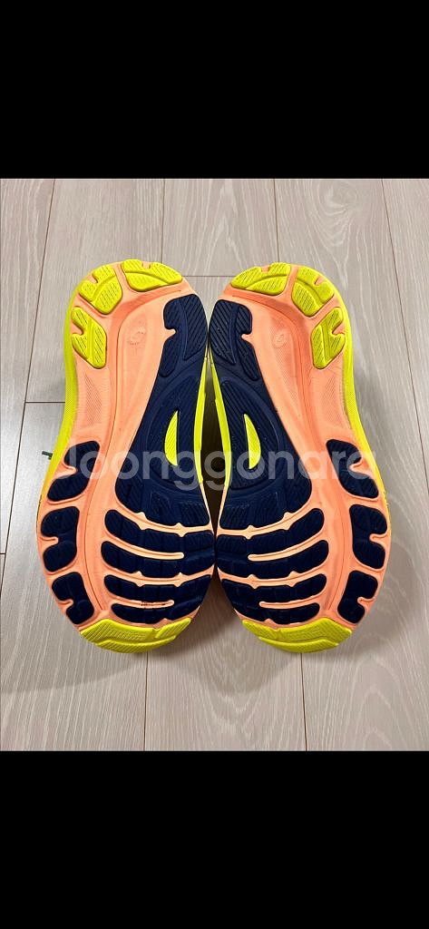 [245] 아식스 젤카야노31 파리 우먼--3