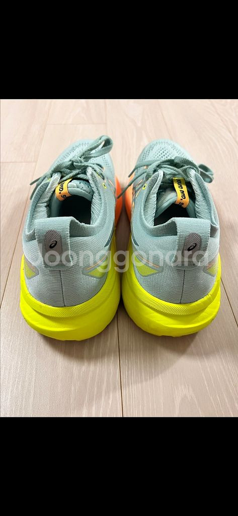 [245] 아식스 젤카야노31 파리 우먼--4