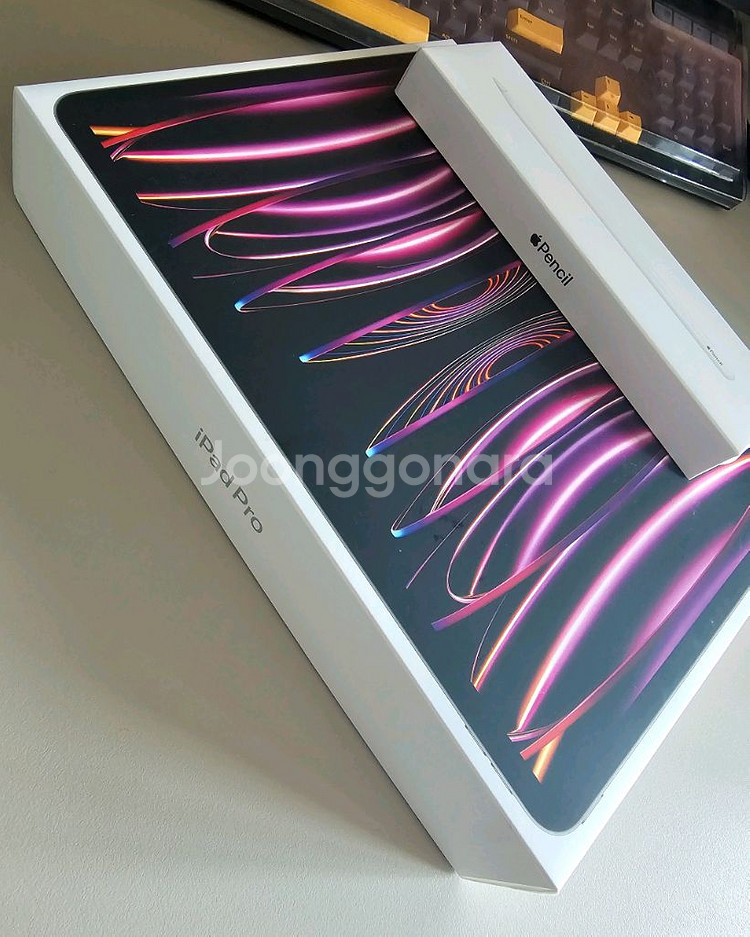 아이패드 프로 12.9인치 6세대 1TB 스페이스그레이--0