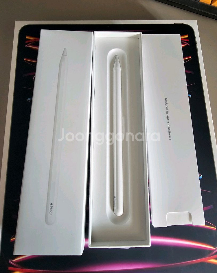 아이패드 프로 12.9인치 6세대 1TB 스페이스그레이--4