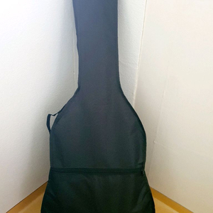 기타 케이스