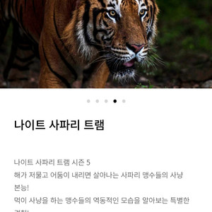 에버랜드 사파리 나이트 트램 10월8일 1매 급처합니다