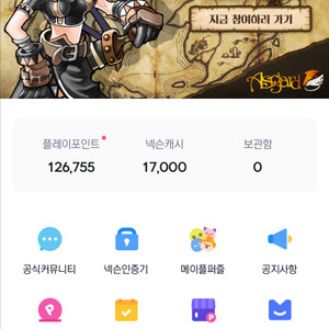 넥슨 플레이 포인트(캐시) 137,000원 85%판매