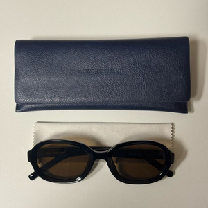 원브릴리언트 줄리안 선글라스