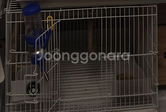 앵보장400 600 집모양새장 앵무새새장 이케아선반--0