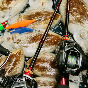 다이와 쿄쿠에이 타코이카 ex ags 165xh