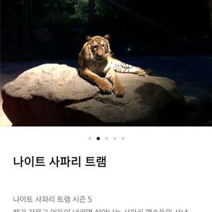 에버랜드 나이트사파리 팝니다
