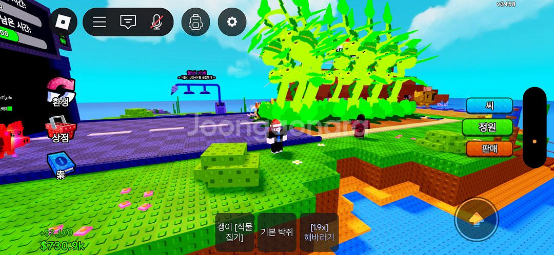 식물대브레인롯--1